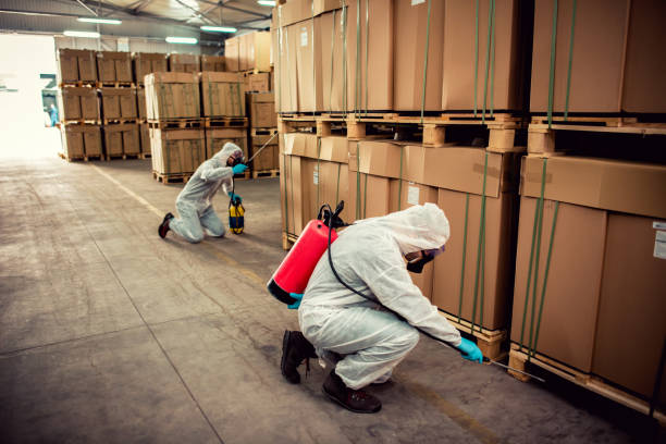 Best Pest Control Near Me  in Huguley, AL
