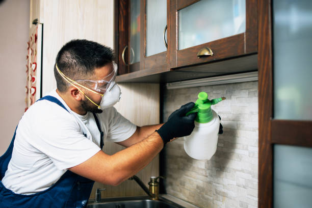 Best Emergency Pest Control  in Huguley, AL