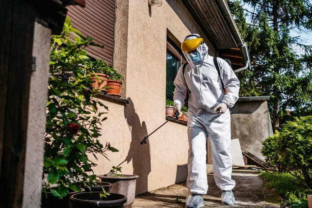 Best Residential Pest Control  in Huguley, AL