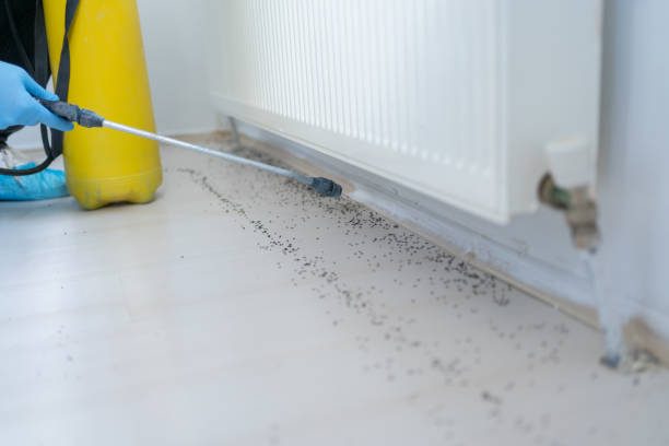 Best Pest Inspection Near Me  in Huguley, AL